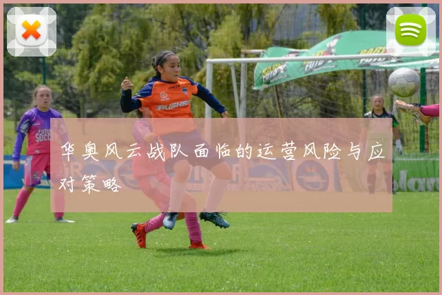 华奥风云战队面临的运营风险与应对策略