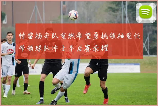 特雷杨率队重燃希望勇挑领袖重任带领球队冲击季后赛荣耀