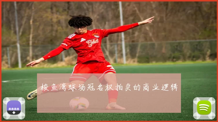 梭鱼湾球场冠名权拍卖的商业逻辑
