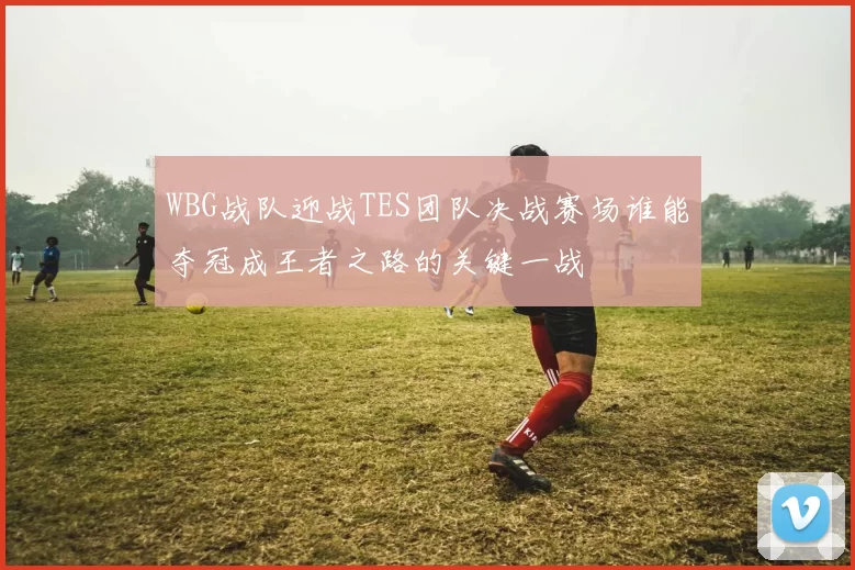 WBG战队迎战TES团队决战赛场谁能夺冠成王者之路的关键一战