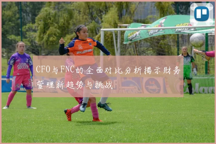 CFO与FNC的全面对比分析揭示财务管理新趋势与挑战