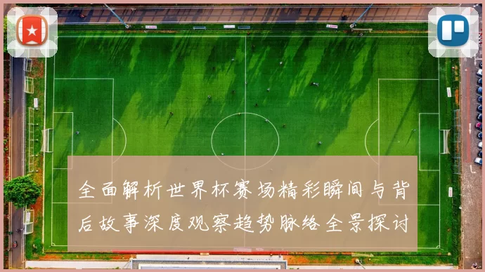 全面解析世界杯赛场精彩瞬间与背后故事深度观察趋势脉络全景探讨