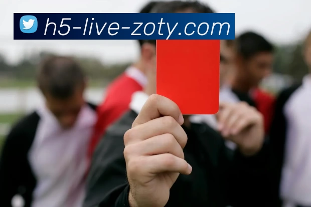 zoty中欧平台生态图