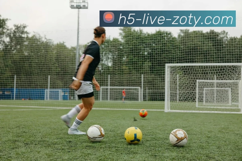 zoty中欧APP 封面图