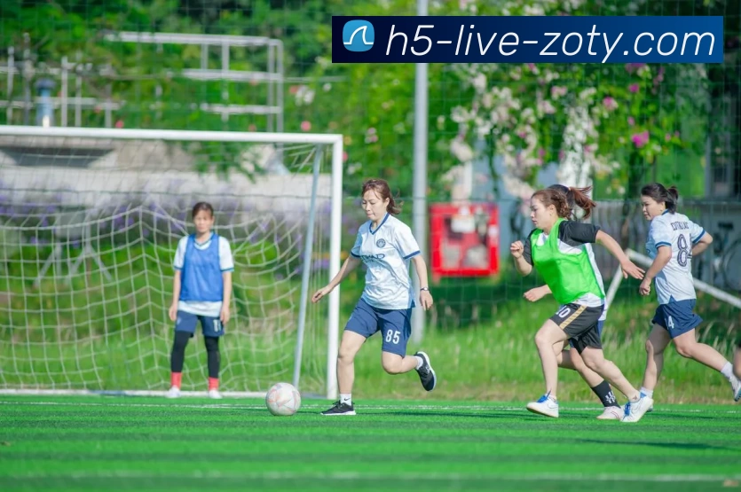 数据防护可视化